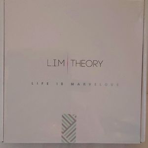 NIB sealed L.I.M. THEORY sz M/ Grey Maternity Soft Lace Nursing Bra